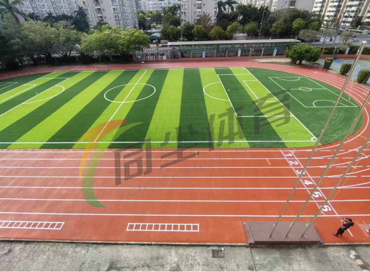 <202402>深圳市鹏兴实验学校